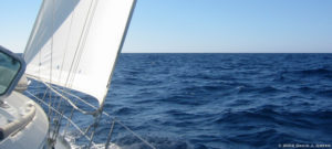 Read more about the article Where’s Your Blue Ocean?