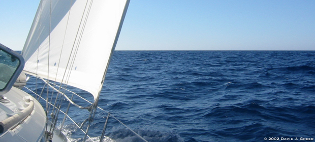 Read more about the article Where’s Your Blue Ocean?