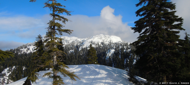 Read more about the article Rhythm and Flow