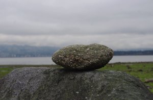 Read more about the article Big or Small?