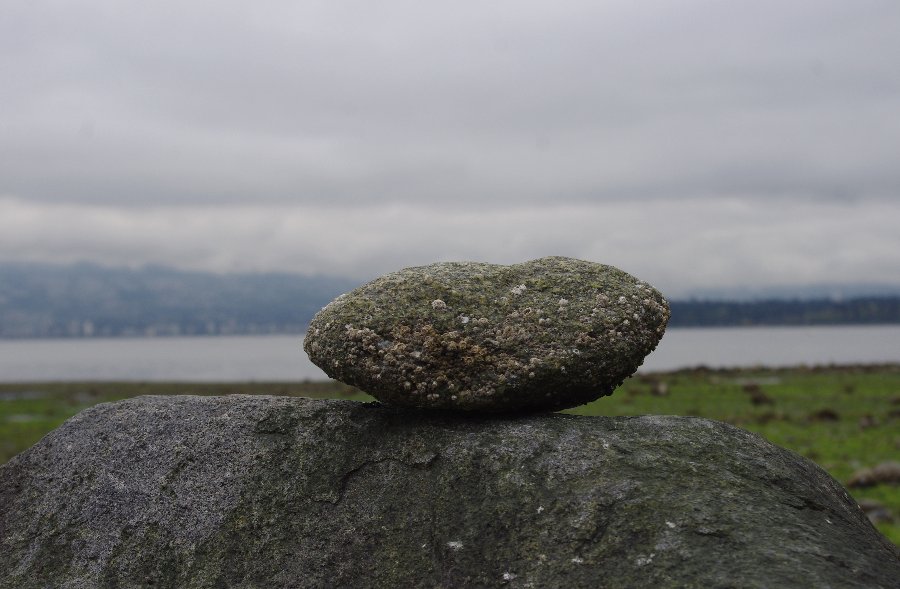 Read more about the article Big or Small?