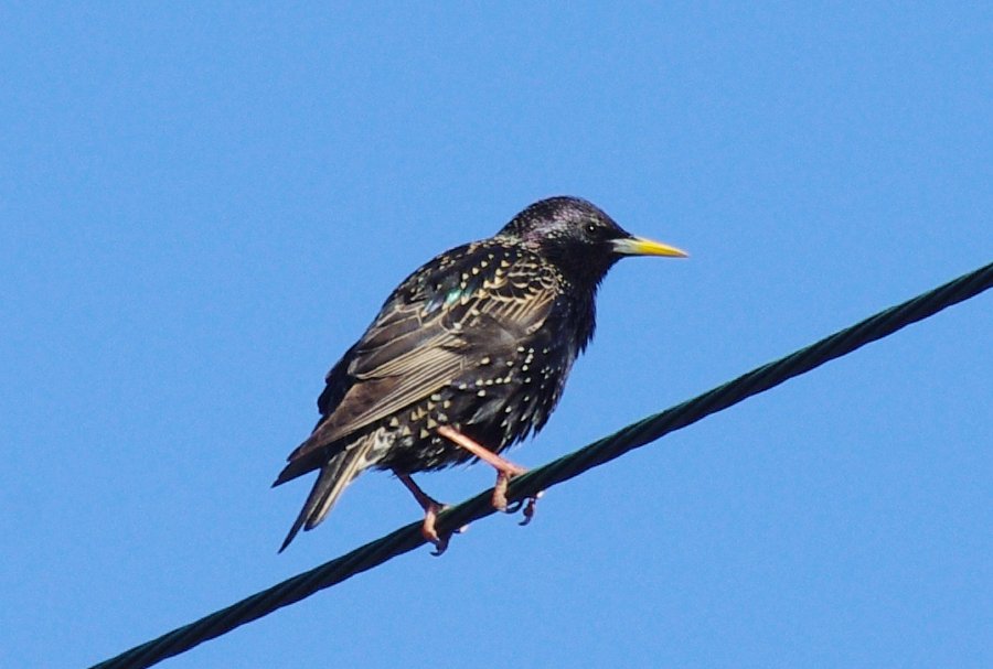 You are currently viewing Being Online