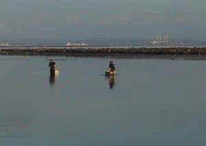 Read more about the article Paradigm Shift