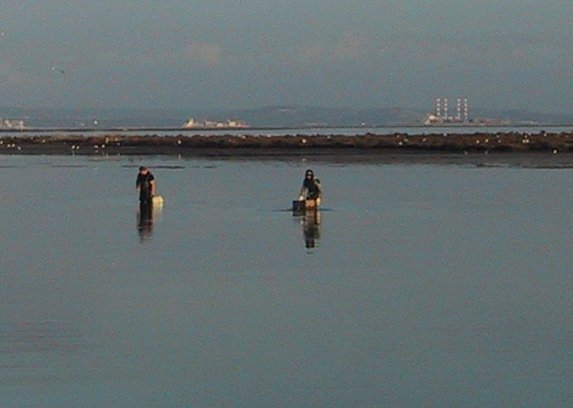 You are currently viewing Paradigm Shift