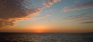 Read more about the article Marketing Tips