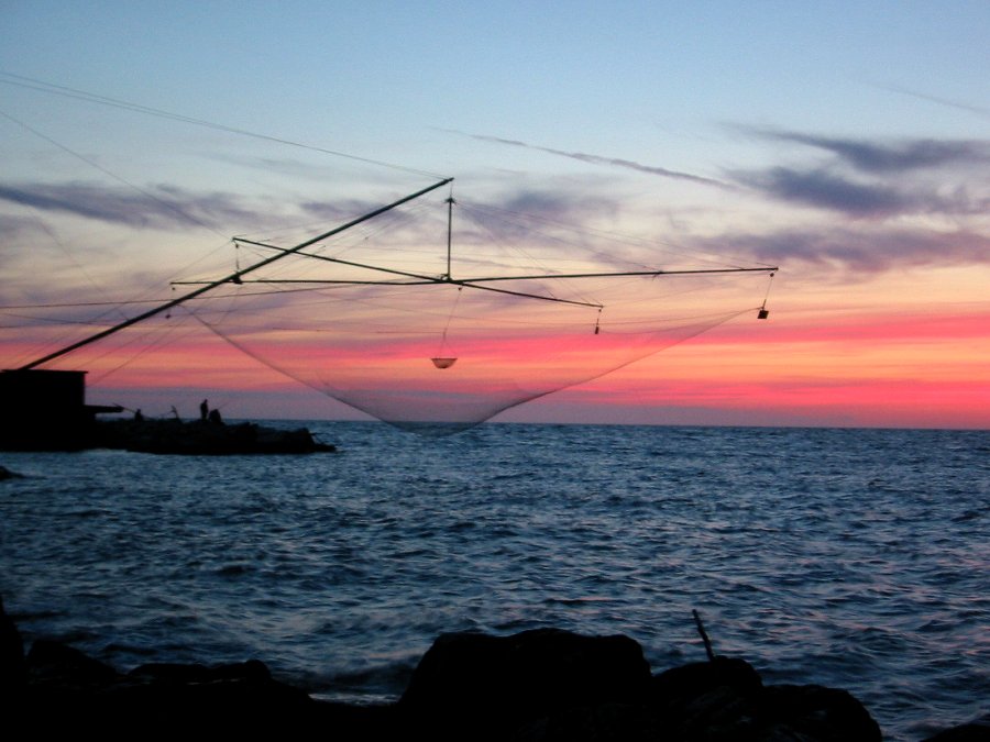 You are currently viewing Aspiration