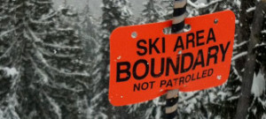 Read more about the article Should I or Shouldn’t I?