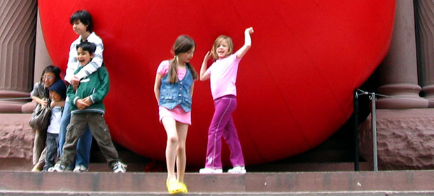 Read more about the article Shiny Red Ball Distractions