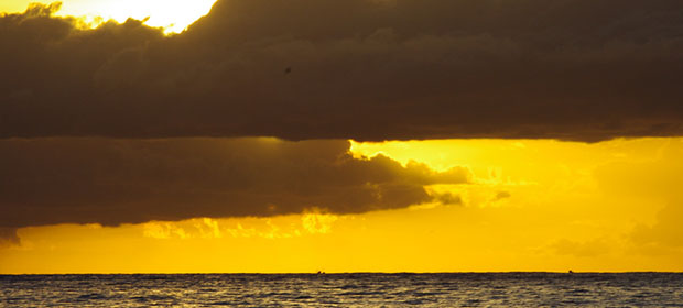 You are currently viewing Pursuing A Vision