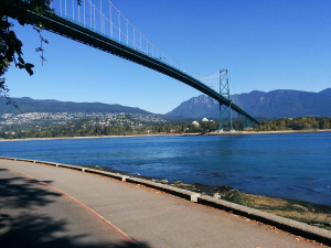 Read more about the article The 7 Reasons You Need An Entrepreneurial Coach