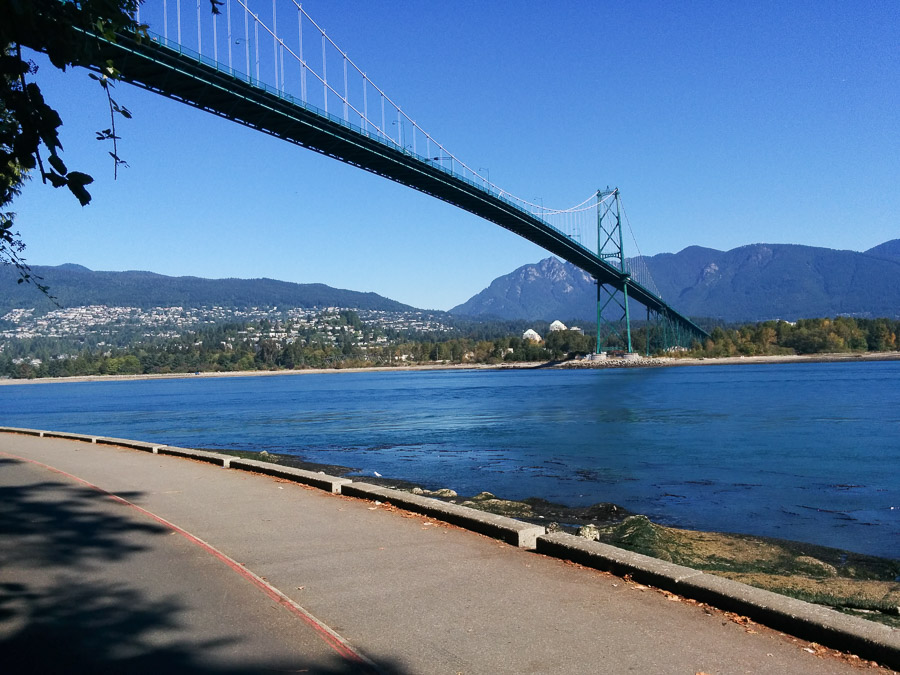 You are currently viewing The 7 Reasons You Need An Entrepreneurial Coach