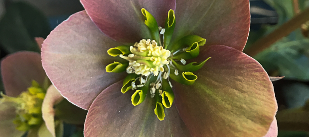 Read more about the article 60, 3, 90