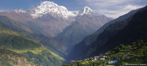 Read more about the article When Your Growth Gets Stuck