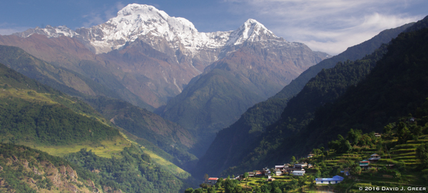 You are currently viewing When Your Growth Gets Stuck