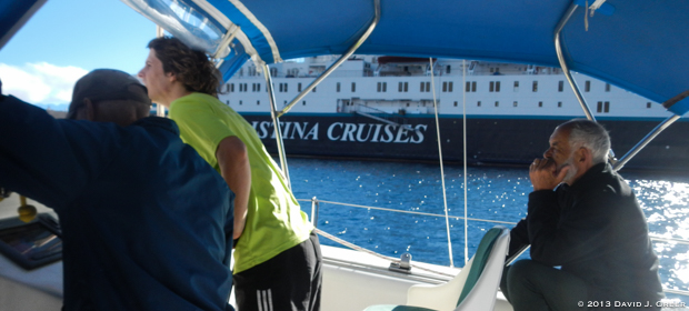 Read more about the article Doing It All Yourself