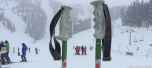 Read more about the article Real Innovation