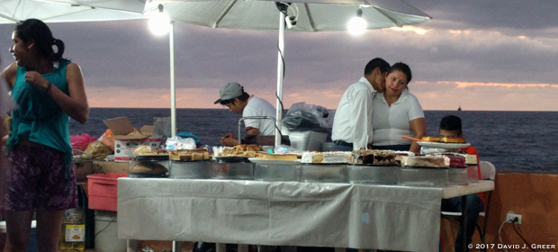 Read more about the article Choose Your Growth