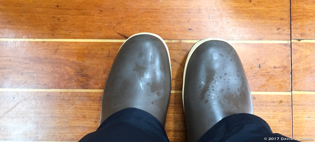 Read more about the article Make A Decision