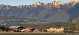 Read more about the article Define Your Ideal Day