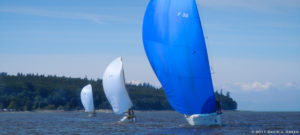 Read more about the article Synergy