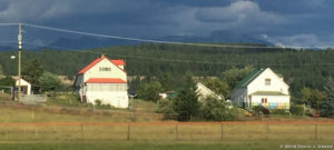 Read more about the article Doing Their Best