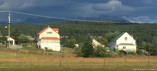 Read more about the article Doing Their Best