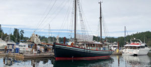 Read more about the article Back to the Future