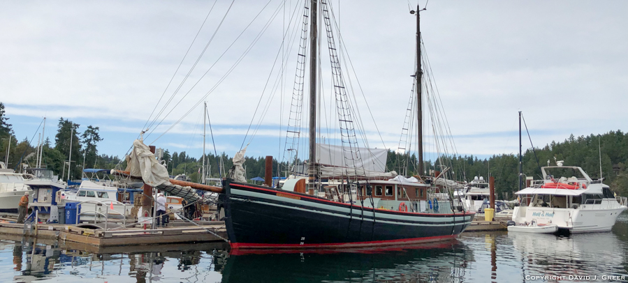 Read more about the article Back to the Future