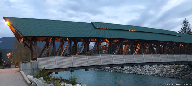 Read more about the article Starved for Time