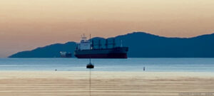 Read more about the article Goals Versus Habits